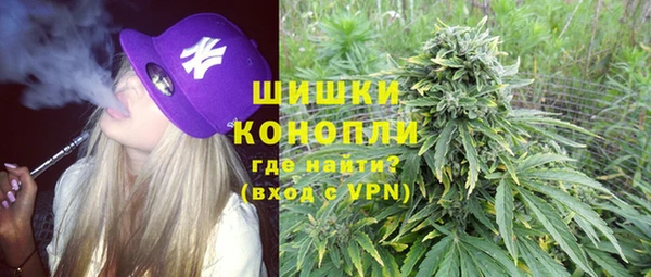 СК Богородицк